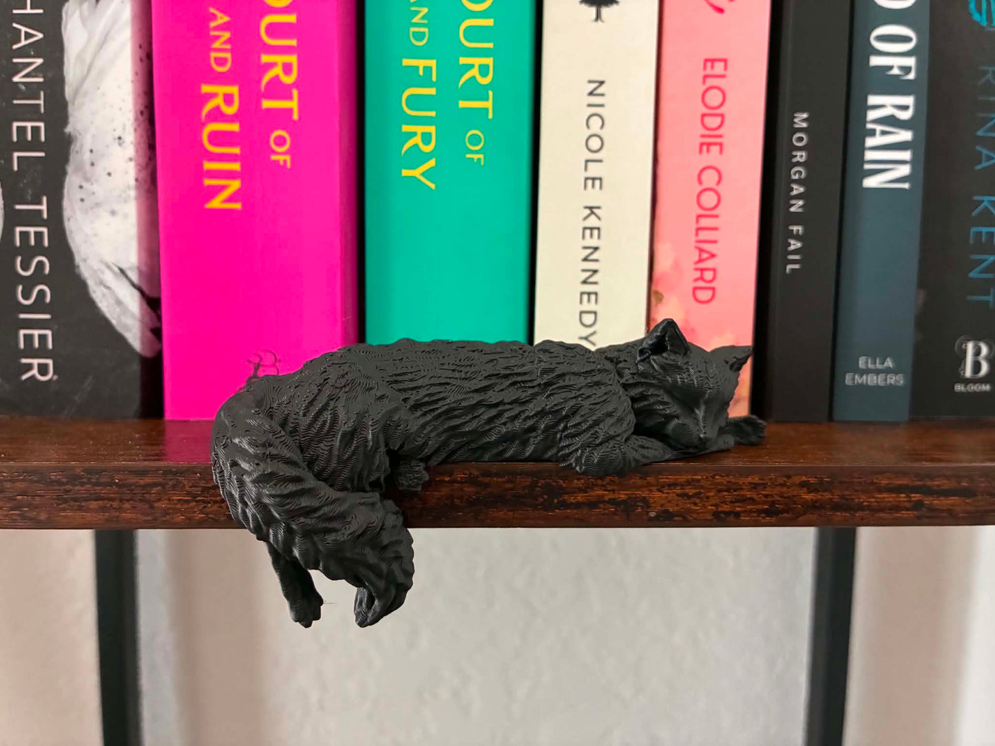 Sleeping Cat
