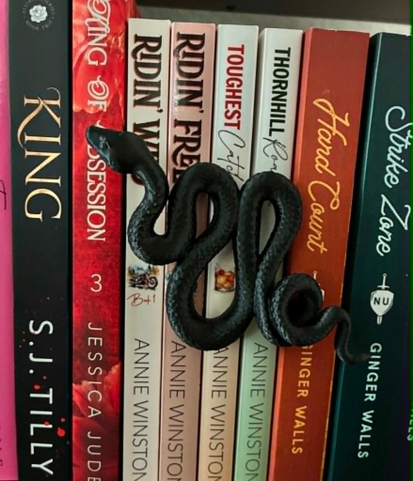 Forbidden Python