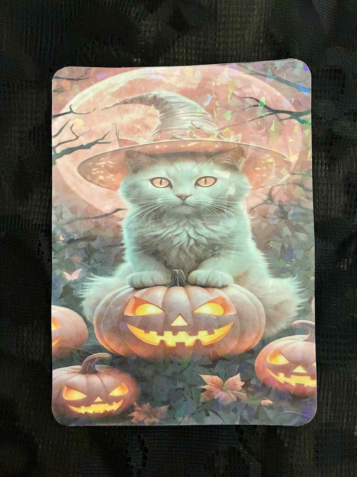 Cat Insert