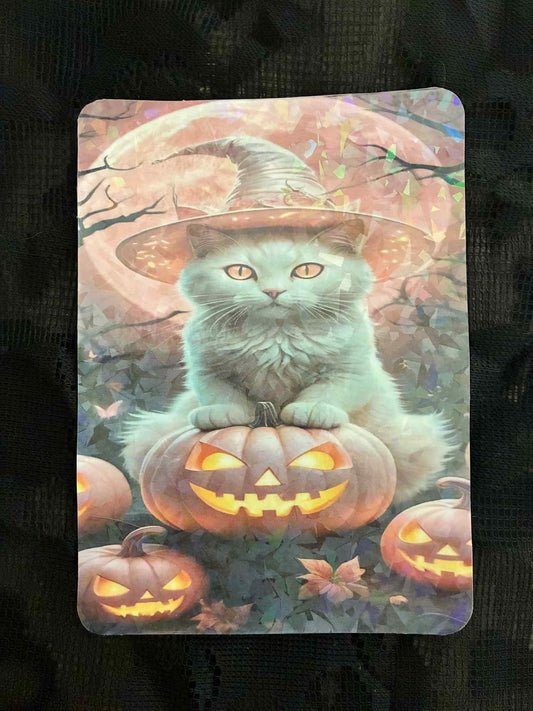 Cat Insert