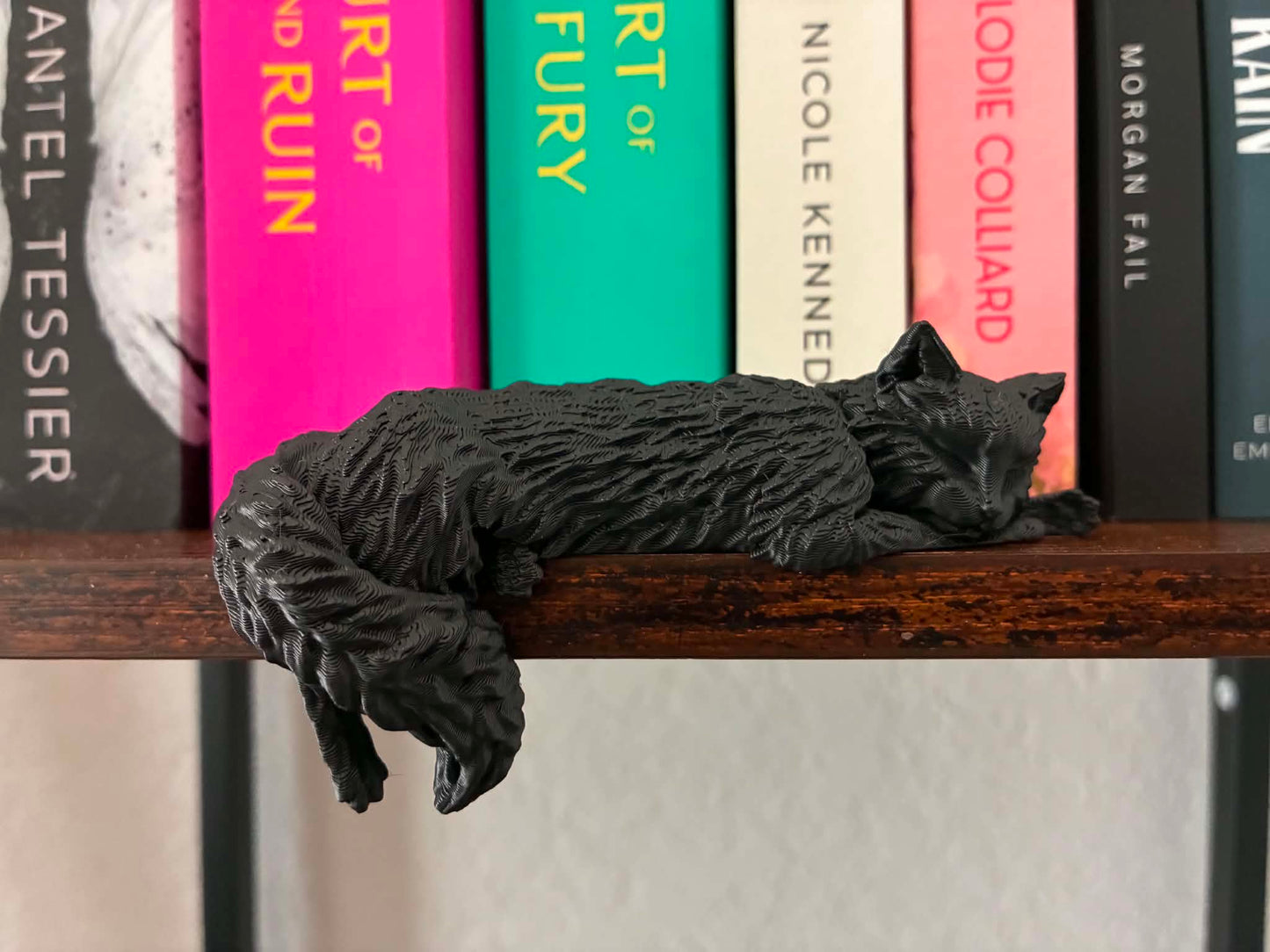 Sleeping Cat