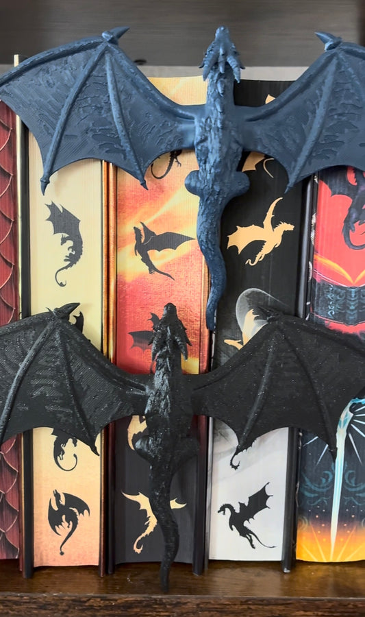 Dragon bookshelf insert