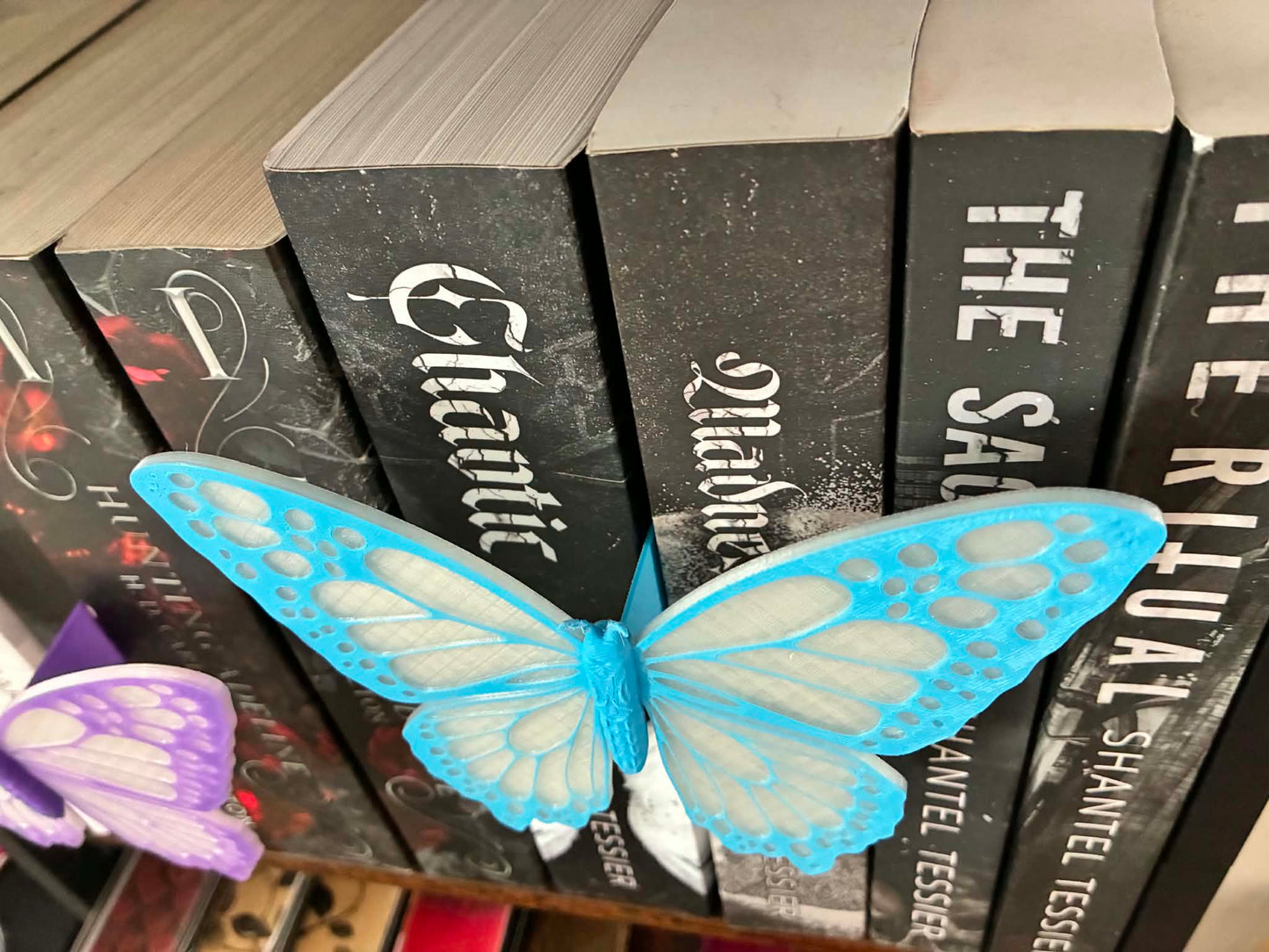 Butterfly Bookshelf Insert